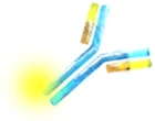 Site-specific Labeling Proteins